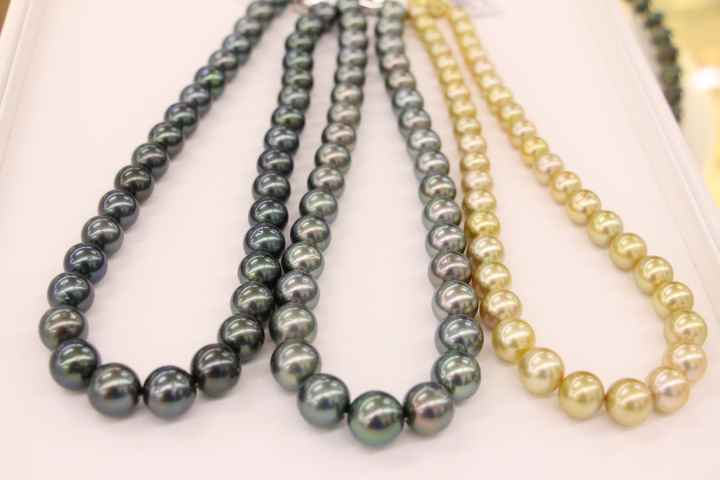 ishigaki_shinju (1)_d