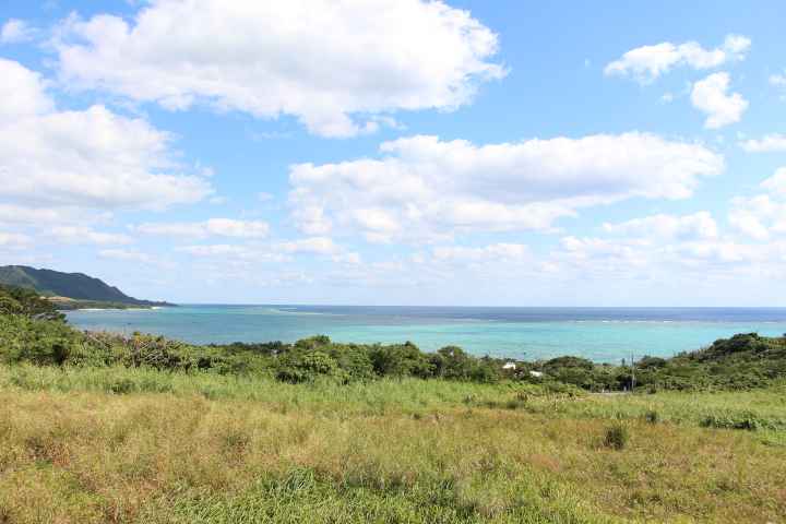 ishigaki_shinju (8)_d