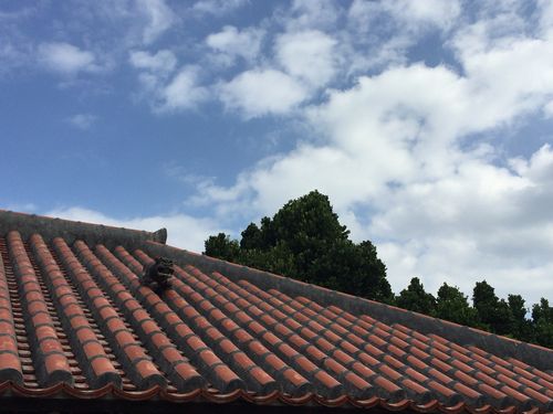 渡名喜島　島自慢の味、冬の美味マンビカー干物づくりと釣り体験