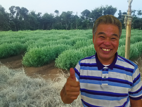 11月16日(水) 伊江島 伊江島の燃える男とガッツリ本気農業体験