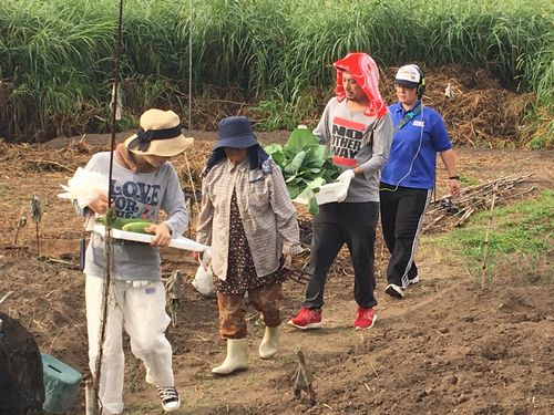 阿嘉島 プチ農業(無農薬家庭菜園）体験ツアー