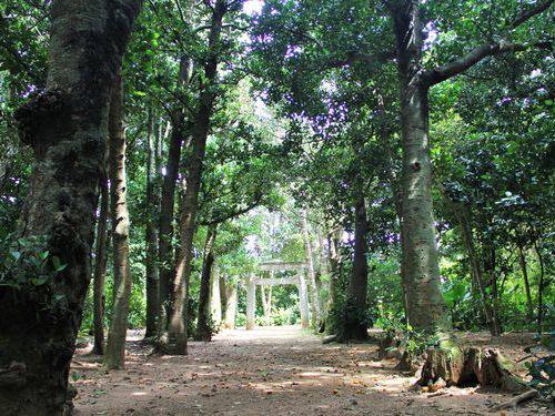 12月9日(金) 多良間島 日本で最も美しい村＆県内唯一の琉球風水集落を歩こう(散策)