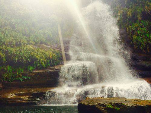 西表島船浮　自然と共に生きる島”西表・船浮”滝まで本気トレッキングツアー