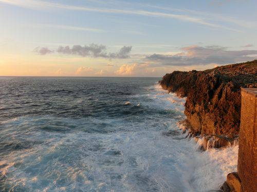 12月10日(土) 北大東島 大東島でしか出会えない！希少植物探検ウォーキング