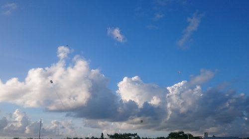 11月22日(火) 宮古島城辺 たまには子どもに戻ろう！宮古島伝統凧づくりと凧あげ大会