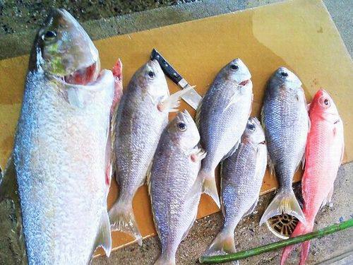 1月21日(土) 北大東島 紺碧の大海原での釣り体験と料理体験