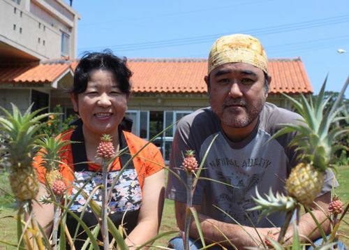11月3日(木) 久米島 パイン園でパン作り♪