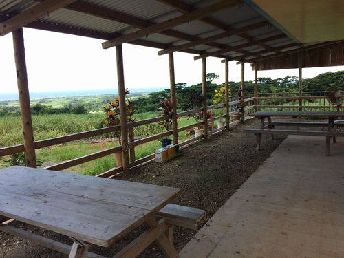 1月20日(金) 久米島 山里ゆんたく市場 選べる地元体験プログラム！