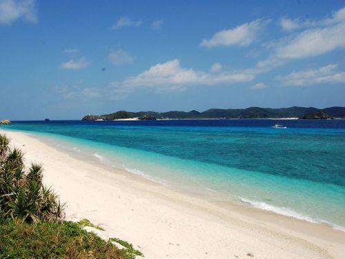 12月8日(木) 阿嘉島 自然は勝手にキレイにならない！阿嘉島の保全に繋がるビーチクリーン・フィールドクリーンツアー