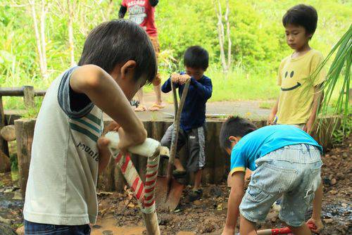 11月25日(金) 久米島 ホタルとサンゴの島づくり体験プログラム（民宿利用）