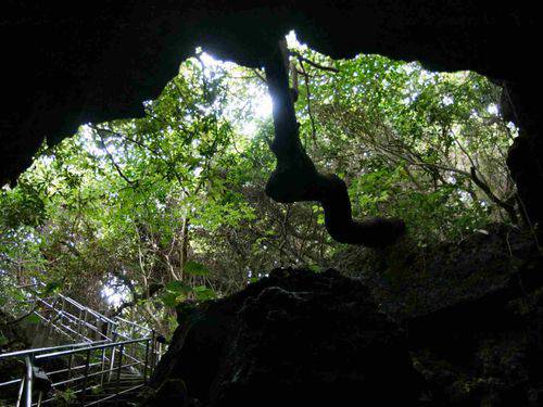 ＊新月の粟国島で「漆黒の闇」を体験(粟国ナイトウォーク)