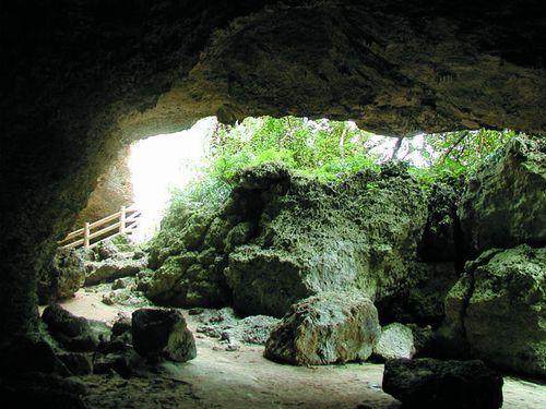 11月26日(土) 伊江島 島ま～いトライアル