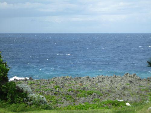 2月1日(水) 伊江島 島ま～いトライアル