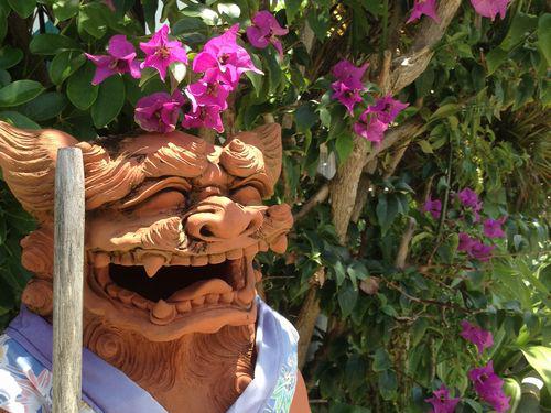 1月11日(水) 水納島 水納島季節の農業体験