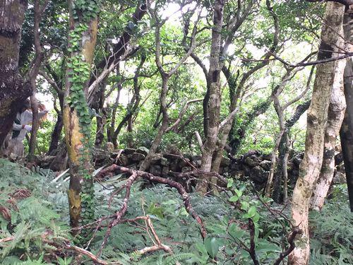 10月24日(月) 伊平屋島 腰岳林道散策（島のスイーツを休憩で食べる）