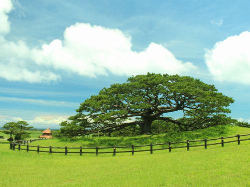 *済　伊平屋島　自然の造形美と沖縄の原風景を撮る～「てるしの」の島のスポット散策～