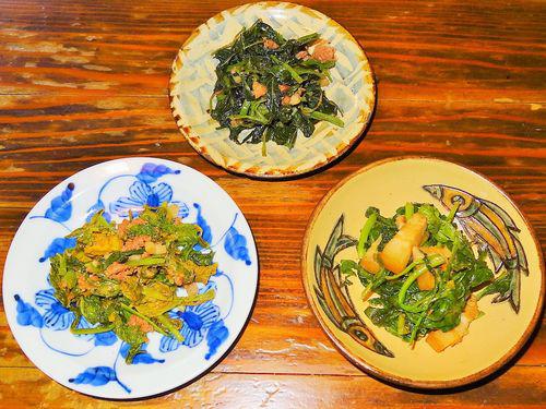 伊平屋島　沖縄の野草を再発見！野草収穫と料理体験