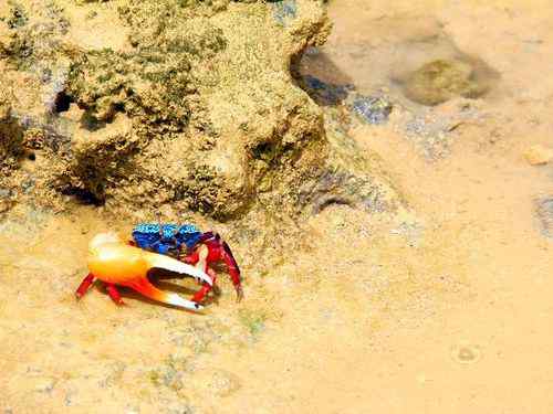 10月22日(土) 水納島 ”水納島”島の真ん中イノー散策