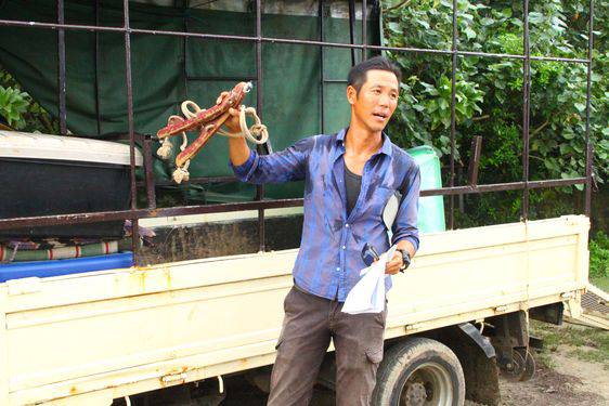 11月14日(月) 久米島 馬の歴史と生態から学ぶリーダーシップ研修