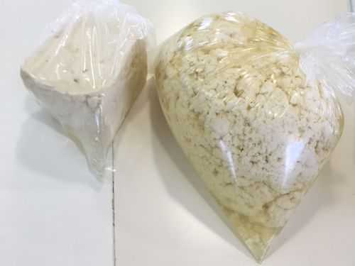 12月9日(金) 阿嘉島 島豆腐作り＆プチデジタルデトックスツアー