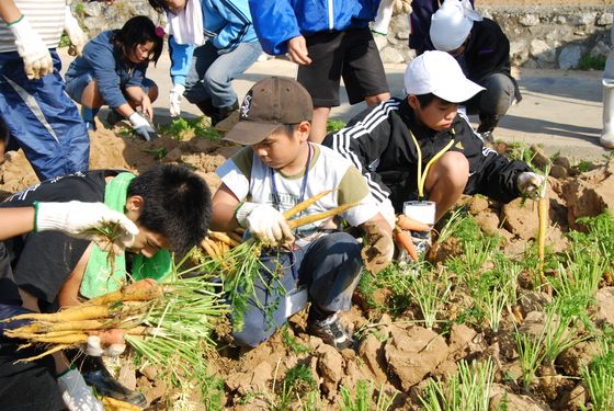 10月26日(水) 渡名喜島 島のお母さん達から教わる島野菜・山菜料理