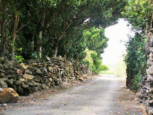 1月6日(金) 伊平屋島 島時間を満喫～島のガイドとぶらり集落さんぽ～