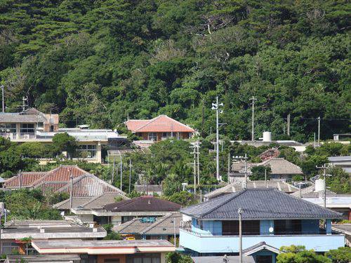 ＊島時間を満喫～島のガイドとぶらり集落さんぽ～