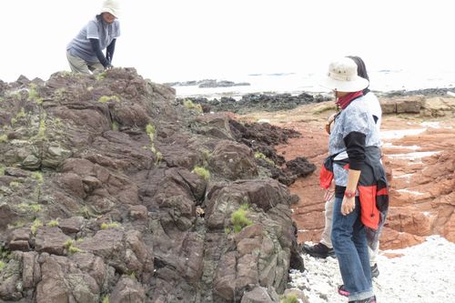 太古の火山活動